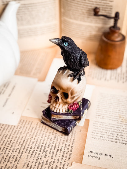 Hollós koponya dekoráció | Reading Ritual Box