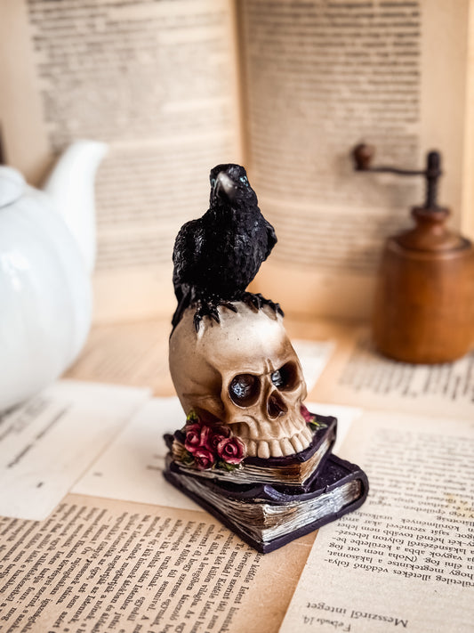 Hollós koponya dekoráció | Reading Ritual Box